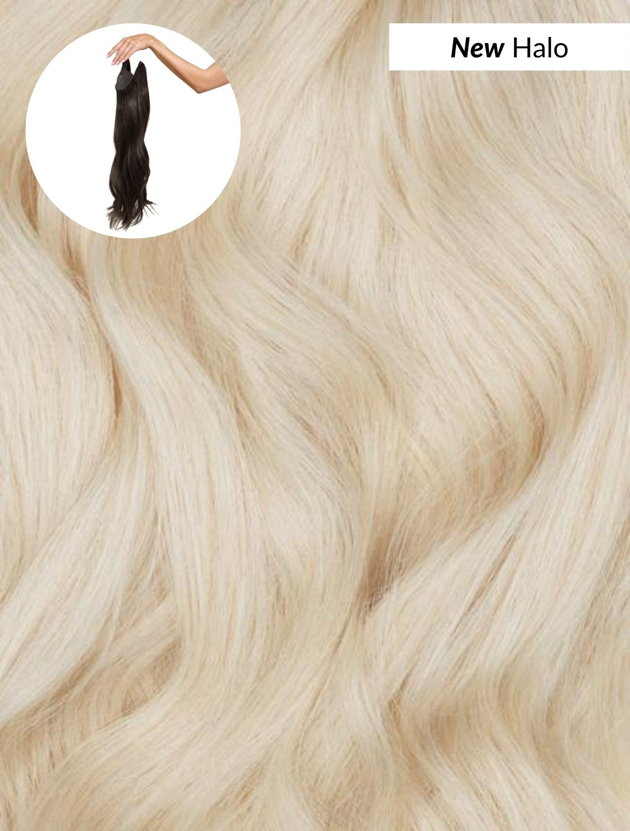 Ash Blonde (60) Halo