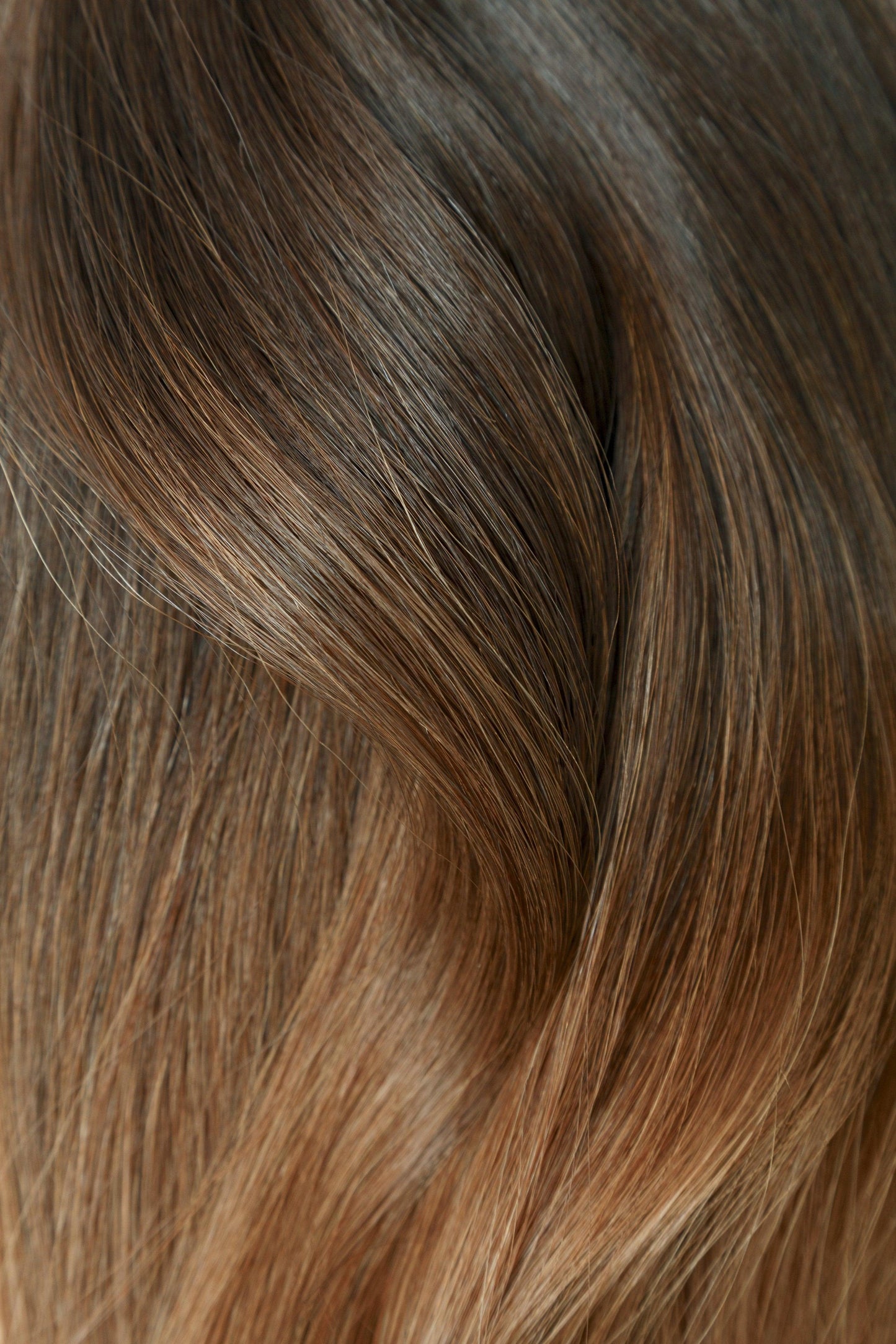 Ombre Espresso (#1C) to Chestnut Brown (#6C) 100g Weft