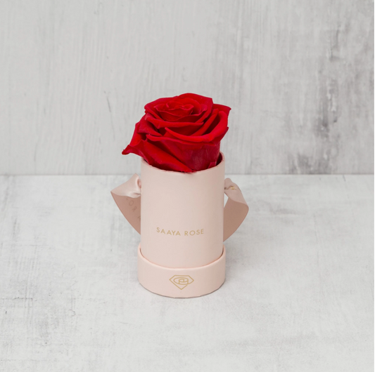 SINGLE ROSE BOX
